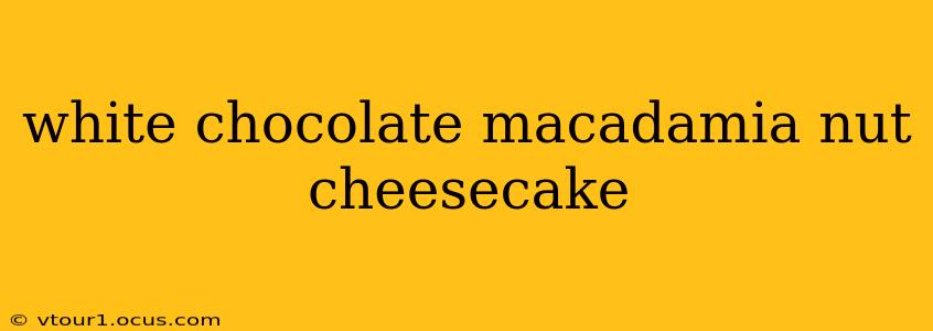 white chocolate macadamia nut cheesecake