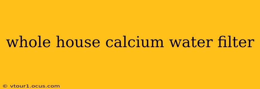 whole house calcium water filter