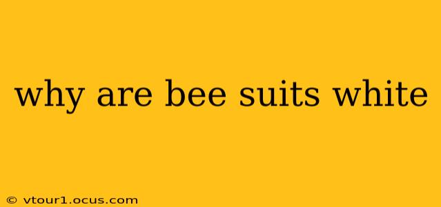why are bee suits white