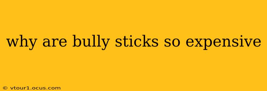 why are bully sticks so expensive