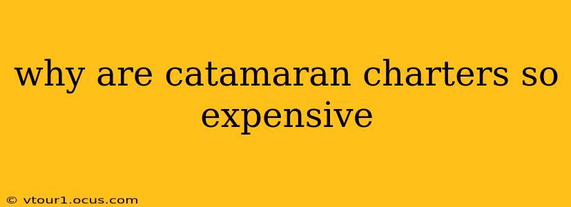 why are catamaran charters so expensive