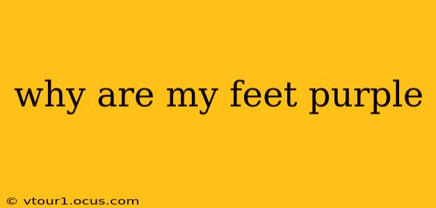why are my feet purple