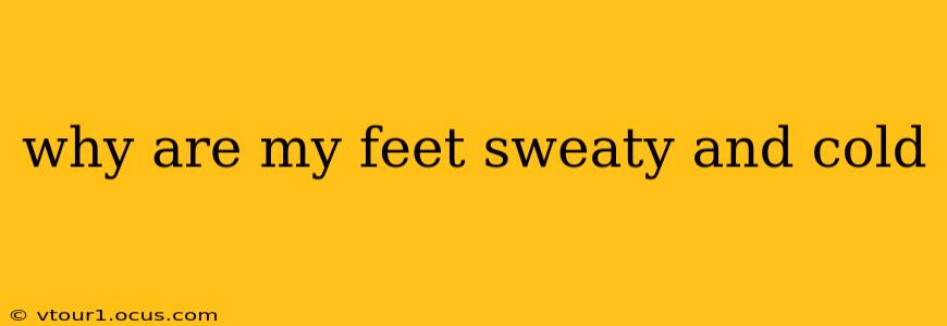 why are my feet sweaty and cold