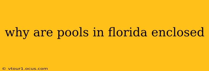 why are pools in florida enclosed
