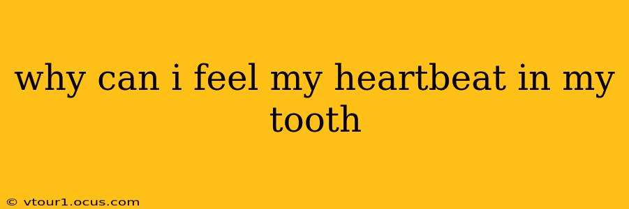 why can i feel my heartbeat in my tooth