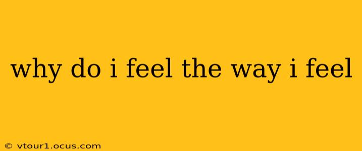 why do i feel the way i feel