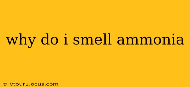 why do i smell ammonia