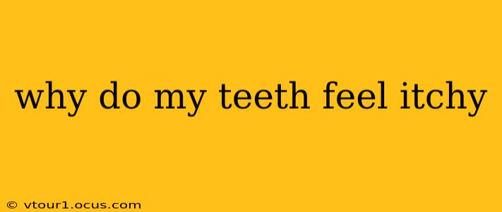 why do my teeth feel itchy