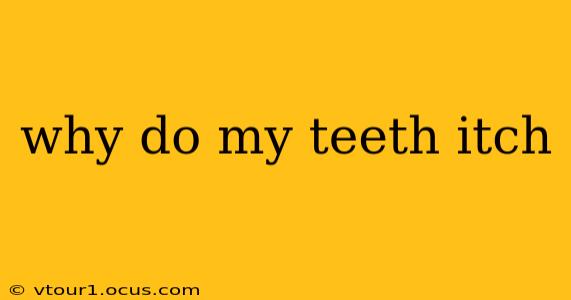 why do my teeth itch