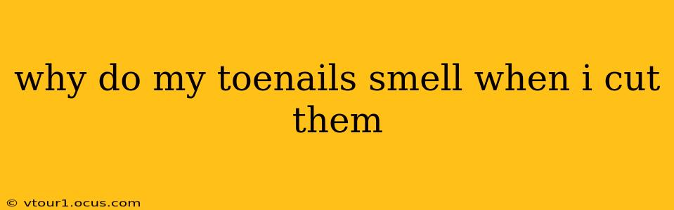 why do my toenails smell when i cut them