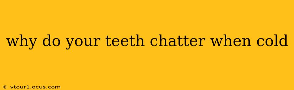 why do your teeth chatter when cold