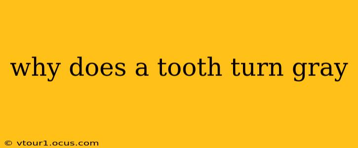 why does a tooth turn gray