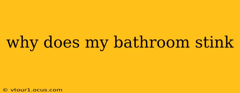 why does my bathroom stink