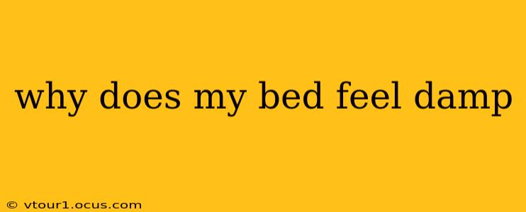 why does my bed feel damp