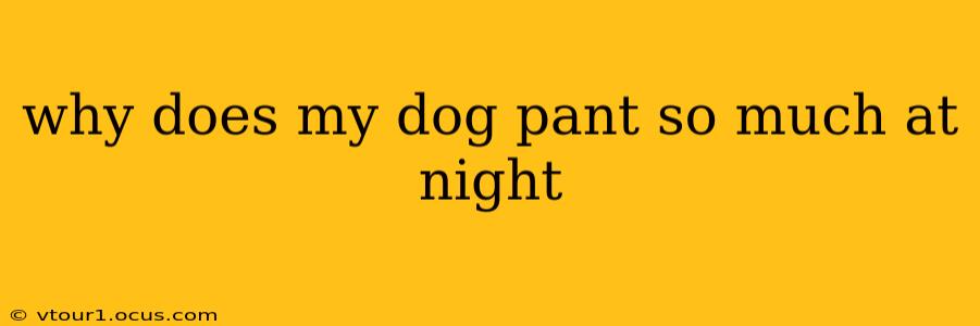 why does my dog pant so much at night