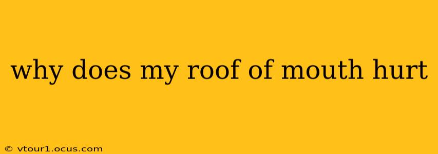 why does my roof of mouth hurt