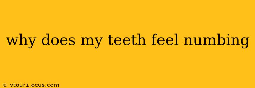 why does my teeth feel numbing