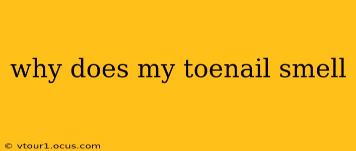 why does my toenail smell