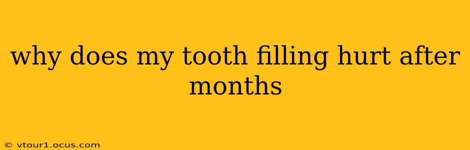why does my tooth filling hurt after months