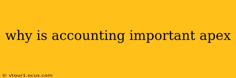 why is accounting important apex