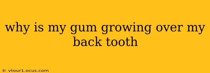 why is my gum growing over my back tooth