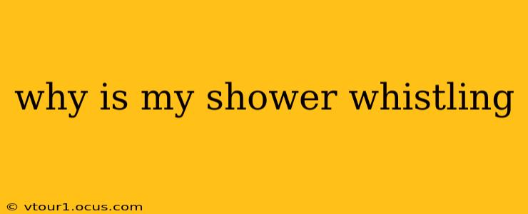 why is my shower whistling
