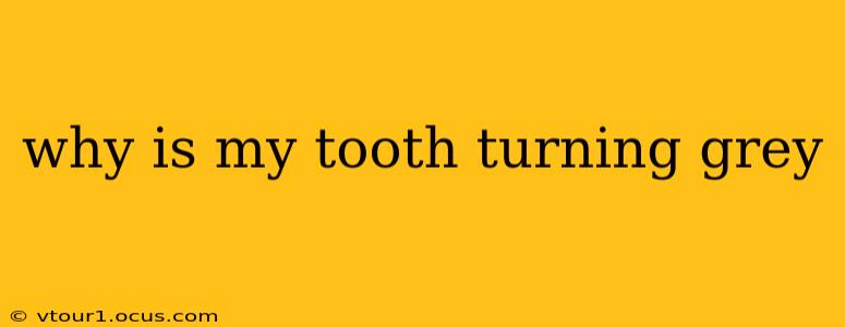 why is my tooth turning grey