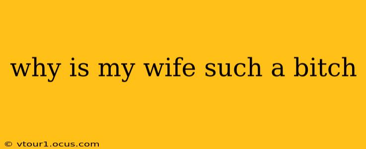 why is my wife such a bitch
