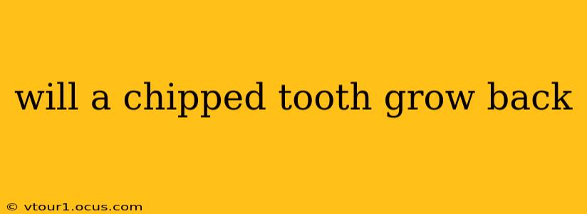 will a chipped tooth grow back