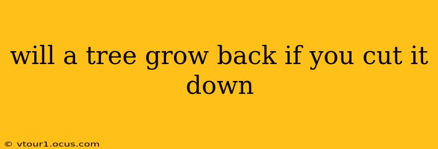will a tree grow back if you cut it down