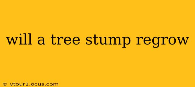 will a tree stump regrow