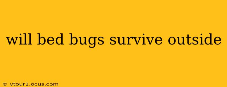 will bed bugs survive outside
