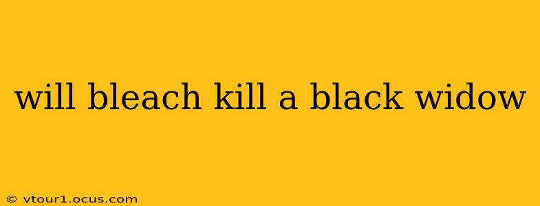 will bleach kill a black widow