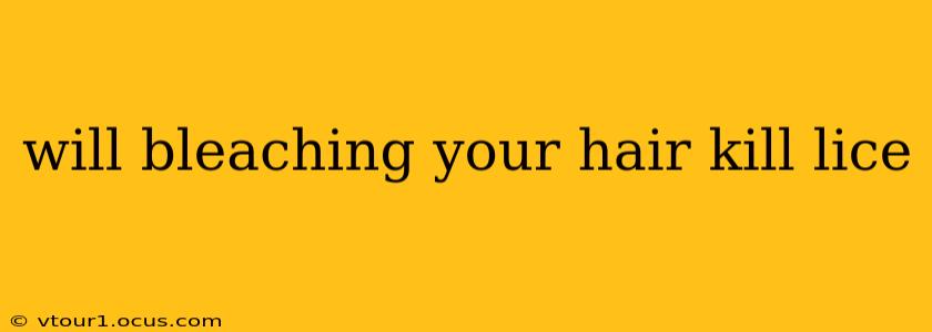 will bleaching your hair kill lice