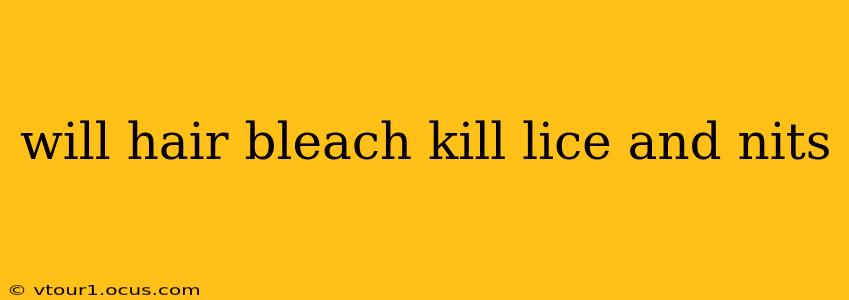 will hair bleach kill lice and nits