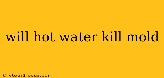 will hot water kill mold