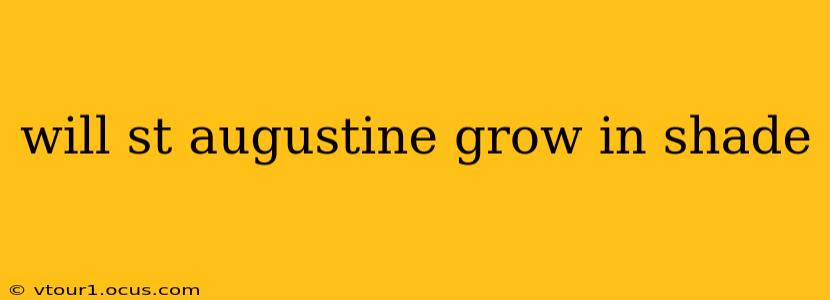 will st augustine grow in shade