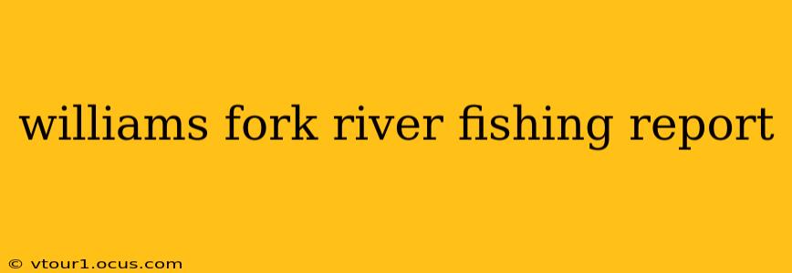 williams fork river fishing report