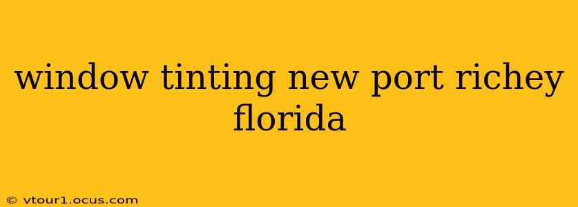 window tinting new port richey florida