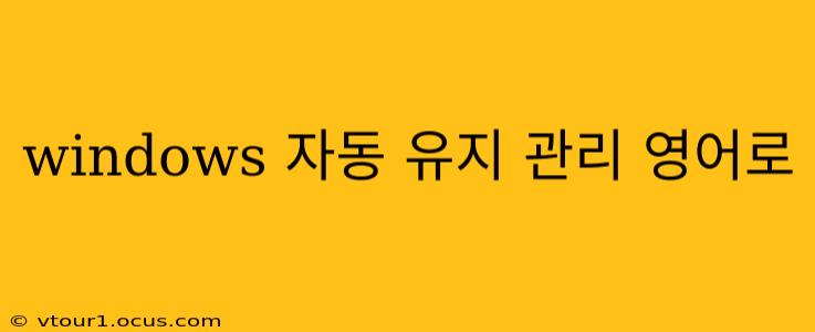 windows 자동 유지 관리 영어로