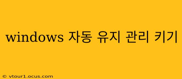 windows 자동 유지 관리 키기