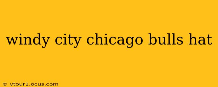 windy city chicago bulls hat