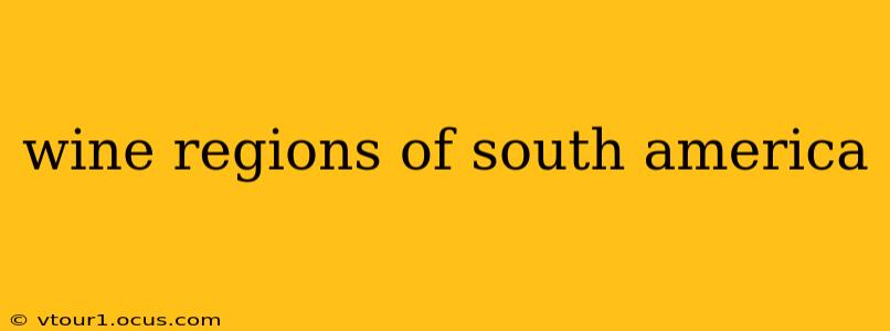 wine regions of south america