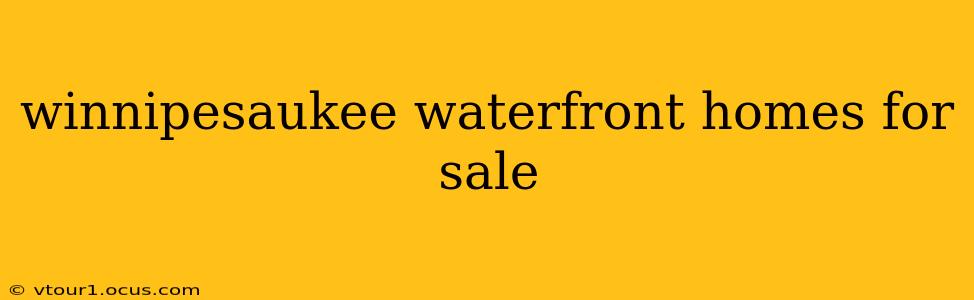 winnipesaukee waterfront homes for sale
