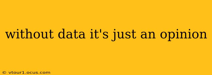 without data it's just an opinion