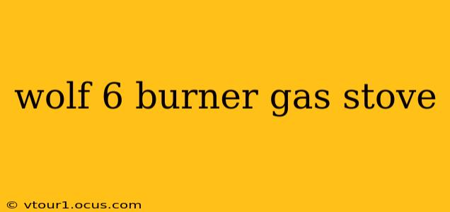 wolf 6 burner gas stove