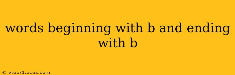 words beginning with b and ending with b
