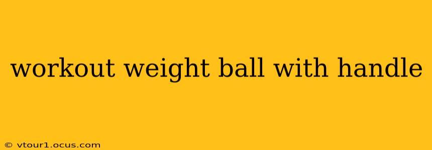 workout weight ball with handle