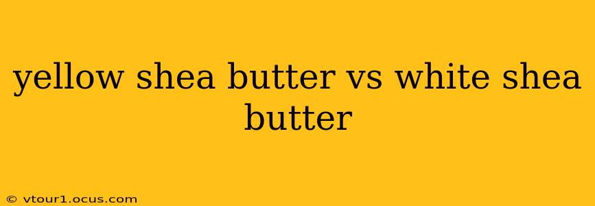 yellow shea butter vs white shea butter